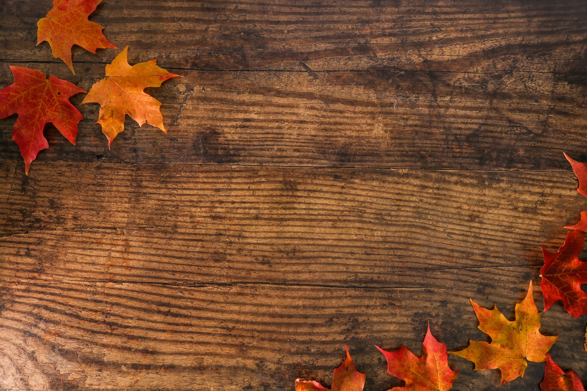 wood-maple